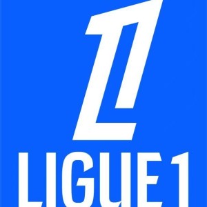官方：法甲本赛季前17轮现场观众人数创历史新高，达到421万人次